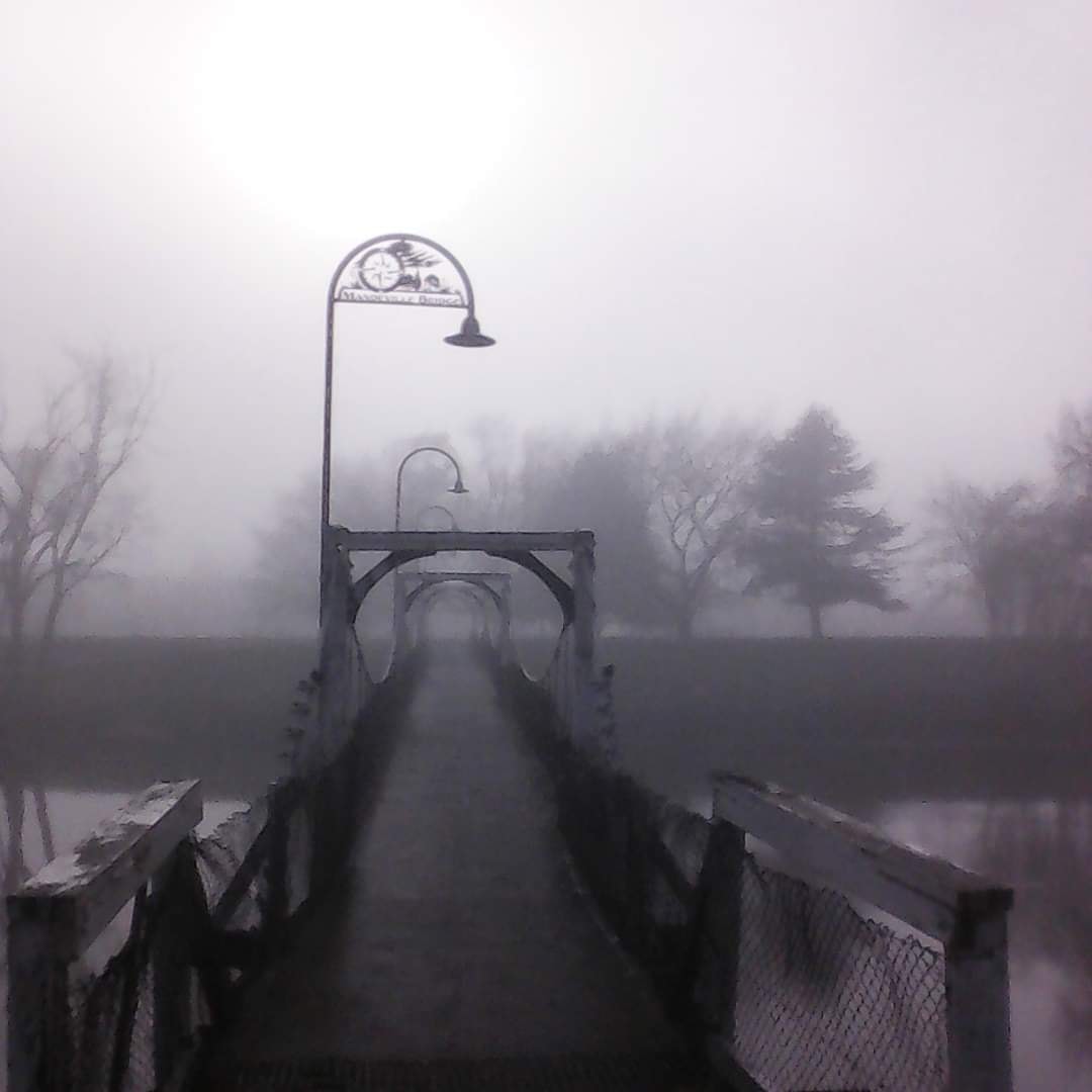 Kaiapoi - foggy walking bridge - Lawz Mitchell