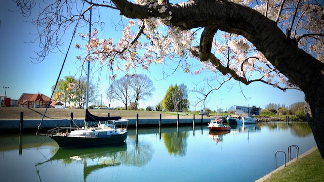 Kaiapoi River header