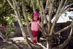 Climbing tree at the preschool